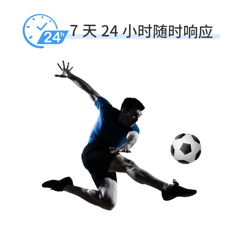 体育api接口